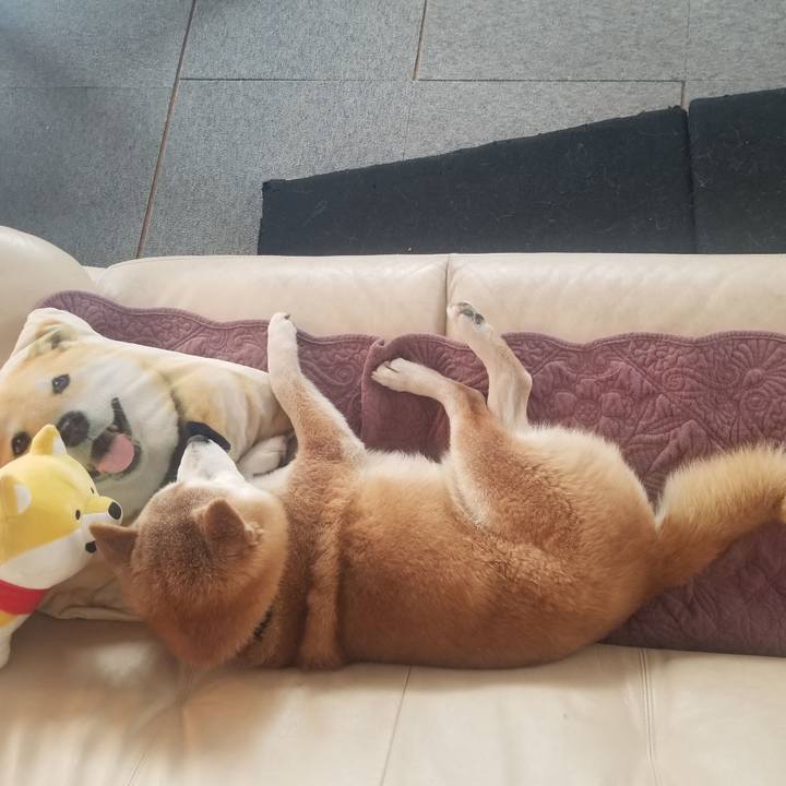 E2561e8d ece3 4260 8f7d a50fe3abe61d 1741062771891