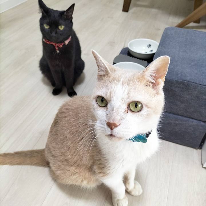 E2566350 2f4f 42bd 967f 500c98971736 1686177521342