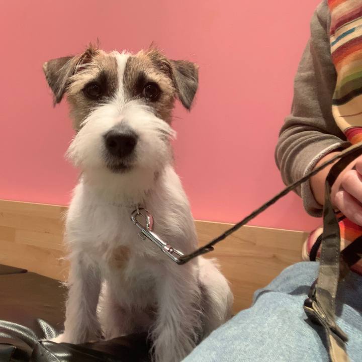 E2567128 3a8c 46f6 a91f 37e679470549 1573133493391