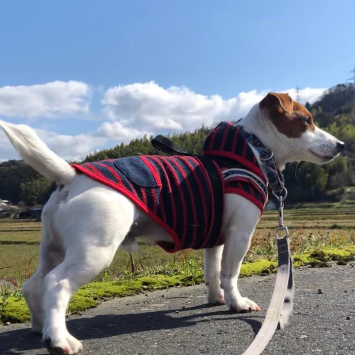 E256733c b535 4c31 9dfa acc49aba4ae1 1552551898700