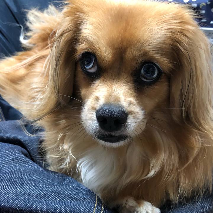 E2567a5c 2f18 46ca 9614 4fcac4dec464 1562857382838