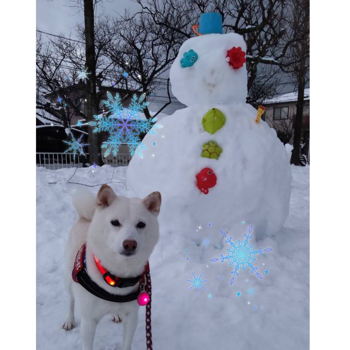 E2568698 596d 4a25 919a 9fc1465fbfb5 1639901996726