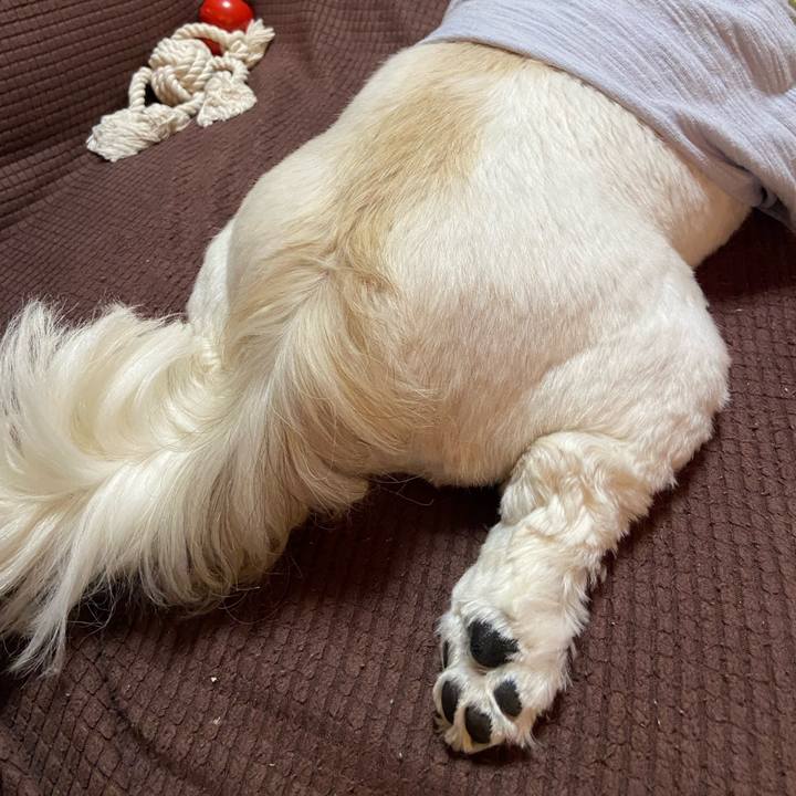 E256aab9 f34c 4cd3 a2c3 a29e376de1d4 1668513077773