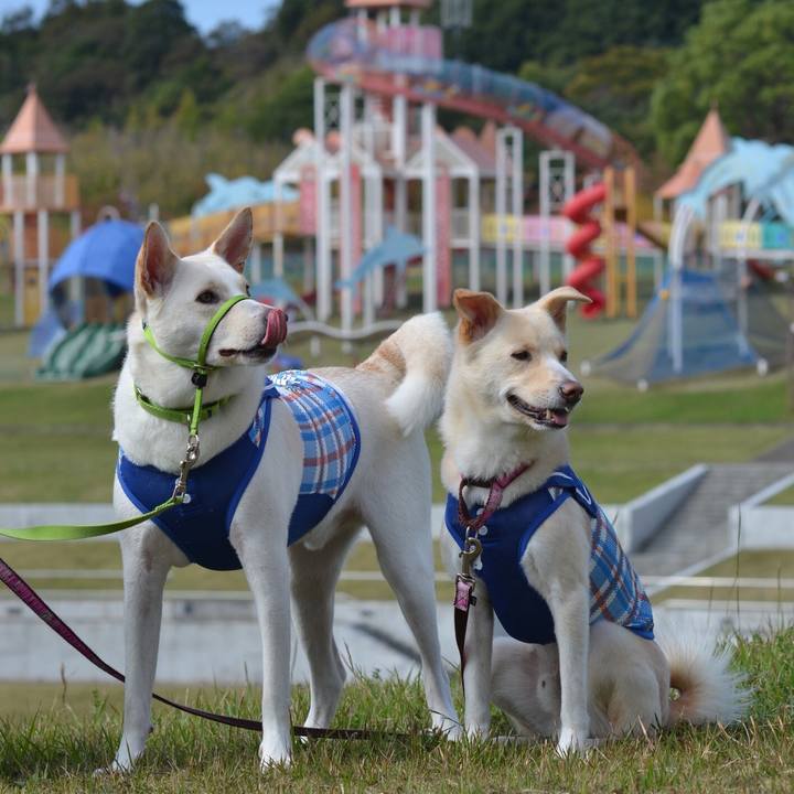 E256c480 c160 4a50 8bde 5912a9d43e01 1509165661864