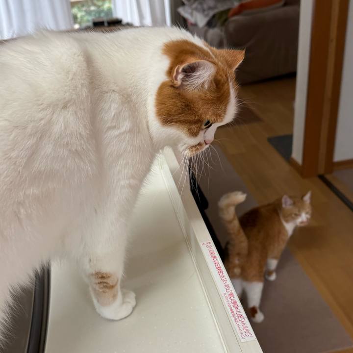 E256e2a8 585f 49af 813c ad205d0a008c 1766193691342