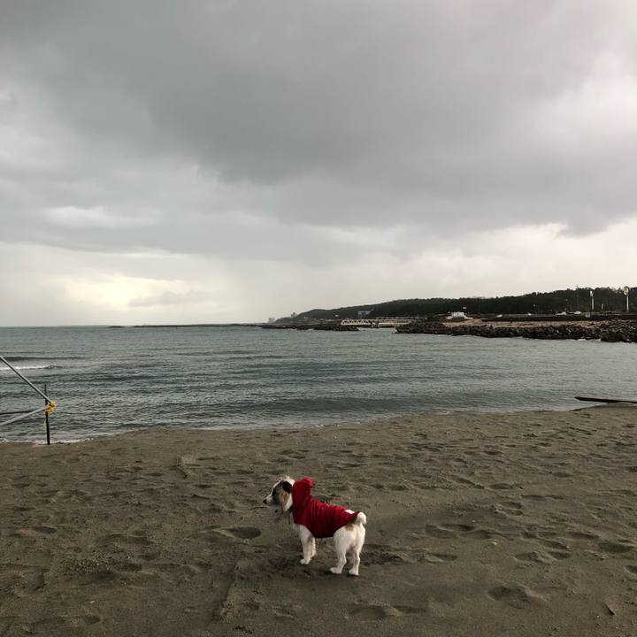 E256f7d3 c334 4f88 96b6 48e3accf2da4 1606348821063