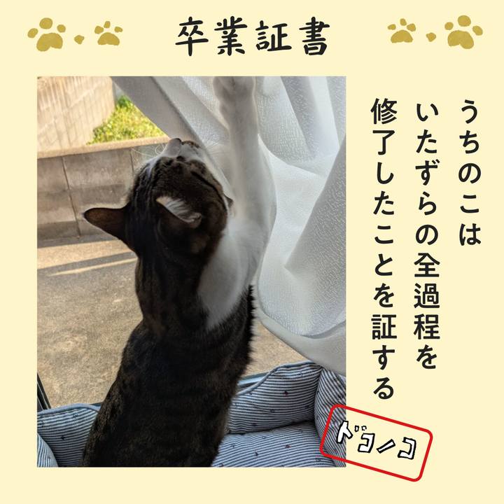 E256fdfc 6a0d 4374 a04e ef1ae1a04e37 1771895758225