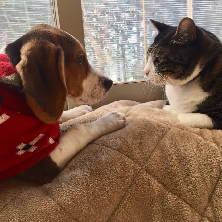 E25718d6 df3c 4145 9b8a 551793ce1f79 1515378613351