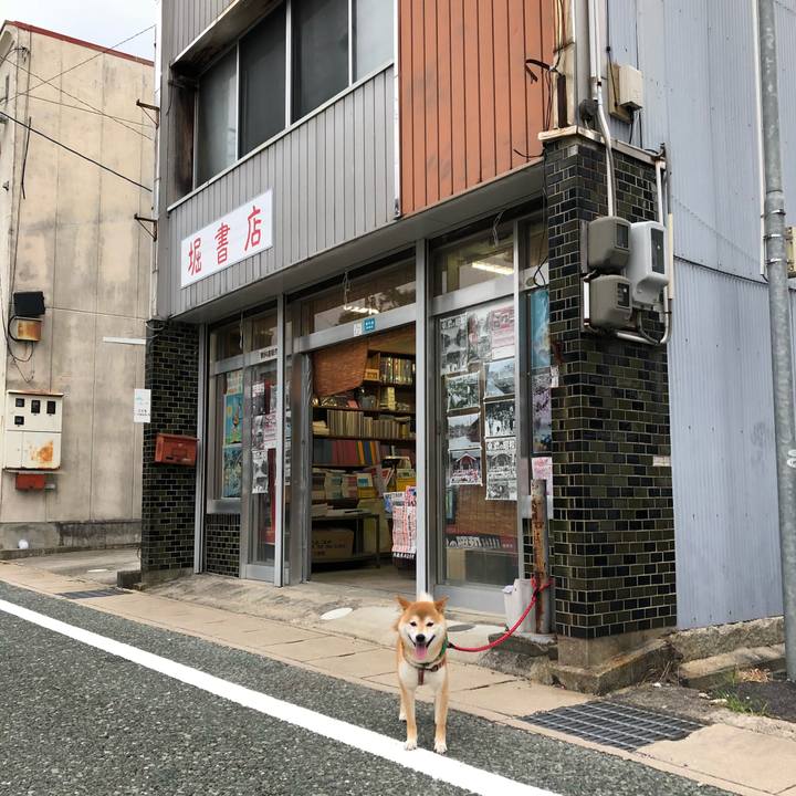 E25754a1 4ab4 4584 898c e01e4901dadb 1532600977479