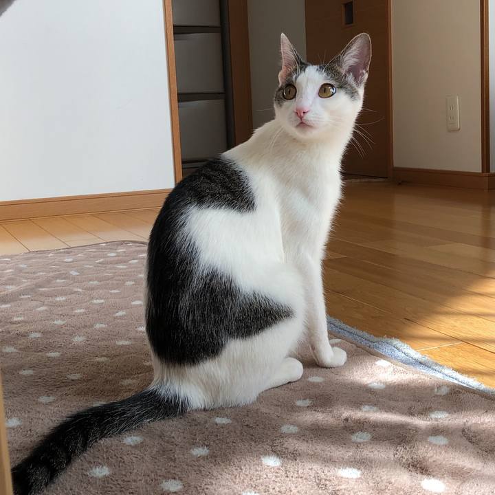 E2575932 80dc 430c 8fa5 47b64753d6d1 1580876878995