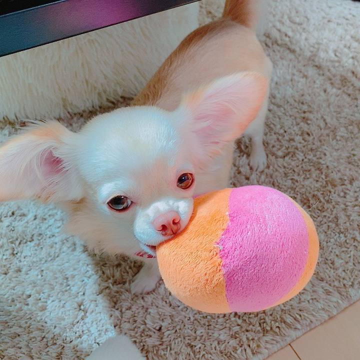 E2576140 2332 4d59 a1d2 b20da3d527b9 1632452622091