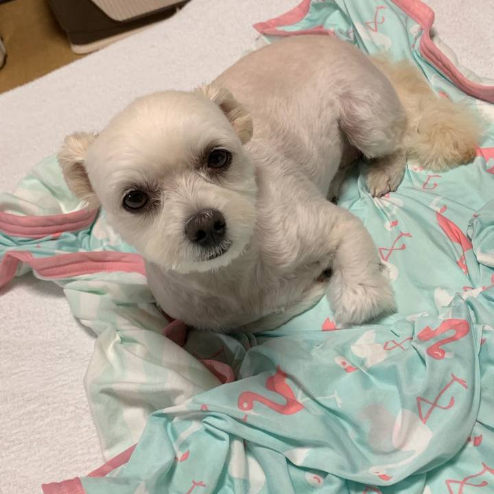 E257d82d 3e37 4a05 a65c 4492dd3283c6 1570020013978