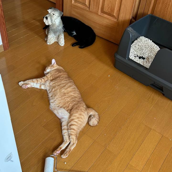 E2581f74 5de4 406e a7fa d9f15b490a7b 1690582429576