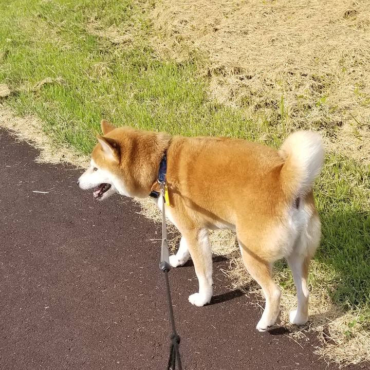 E2583398 d480 4cac 9447 acbc7dd379d5 1567578590684