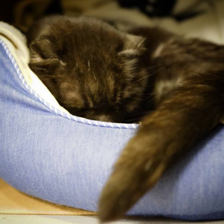 E2585747 0f1a 4e2a b279 cc5a9197a2d6 1646064295965