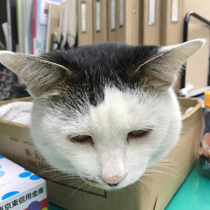 E25877d8 01ad 46be 929e 4c44f2be1d14 1516782900356