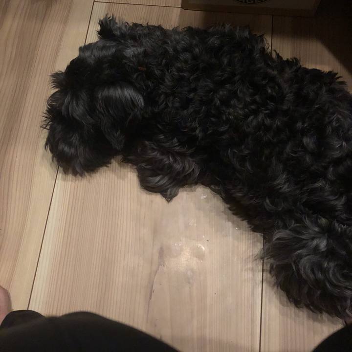 E25877da 0d39 45e0 ae85 eb08e5ec9ca4 1591708320643