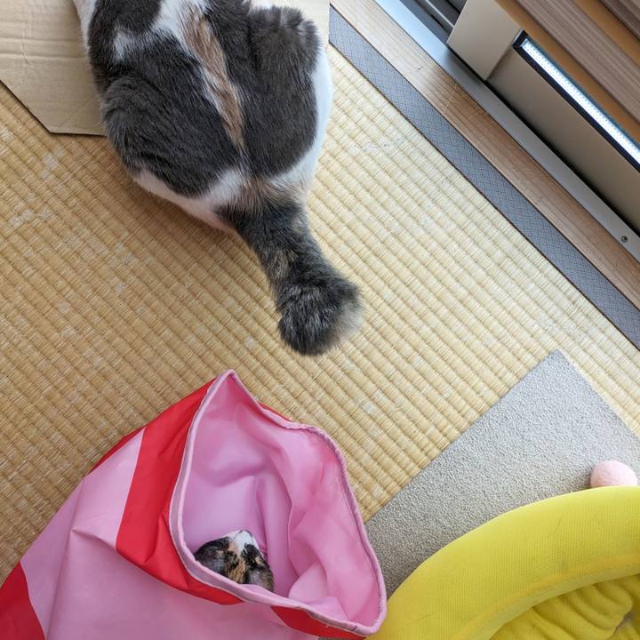 E2587c09 0add 41e1 a697 05ec2fe73db2 1694402918986