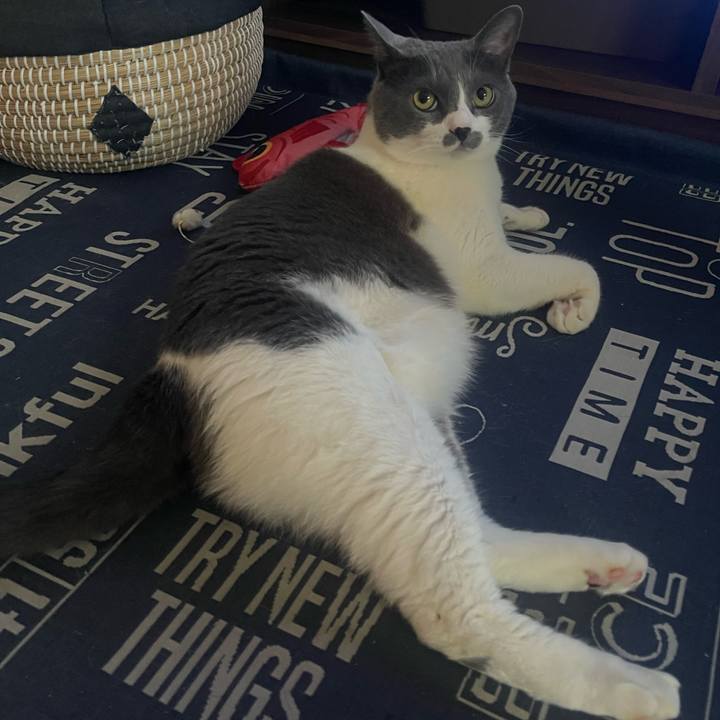 E2587d87 ddcb 470e 92d9 c4e6f886280b 1718924579578