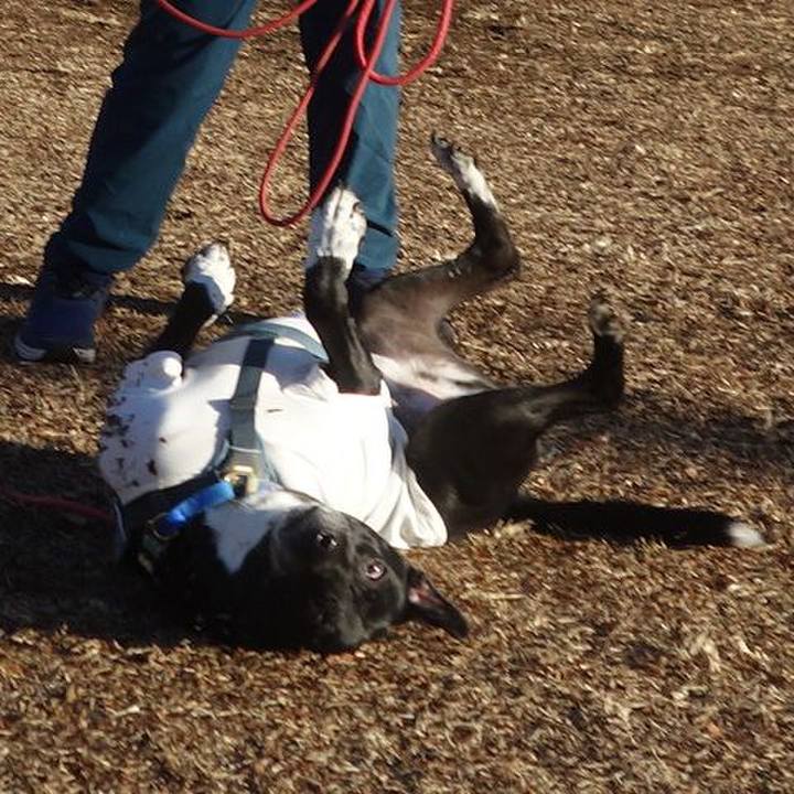 E2589cf3 c30b 455b bfb1 25ad0b5fc6dd 1706491303275