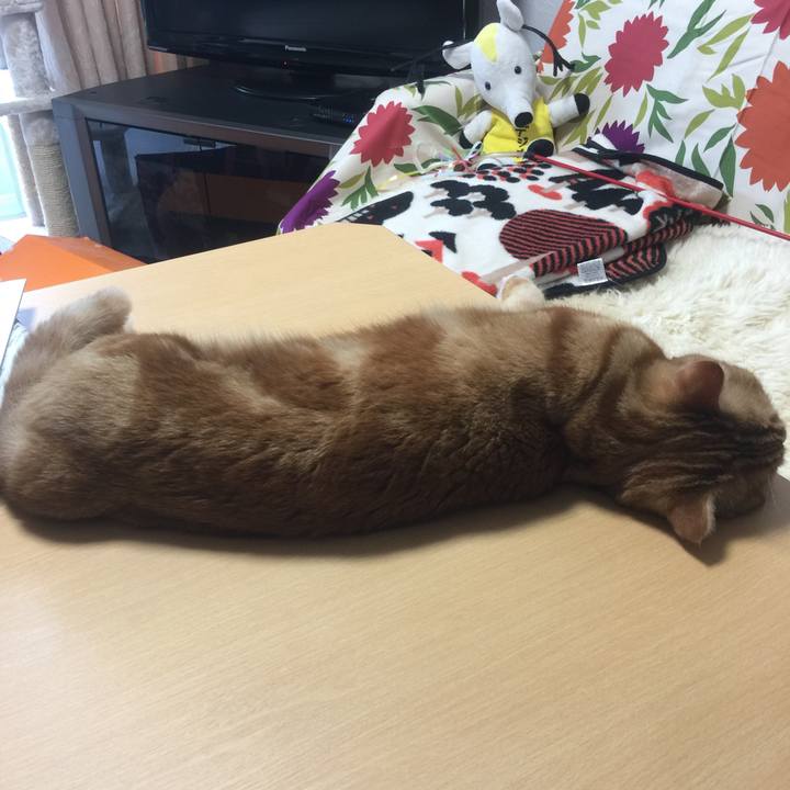 E258b68b 19ef 4db6 b9fc cdd7b37c1e5f 1534299259896