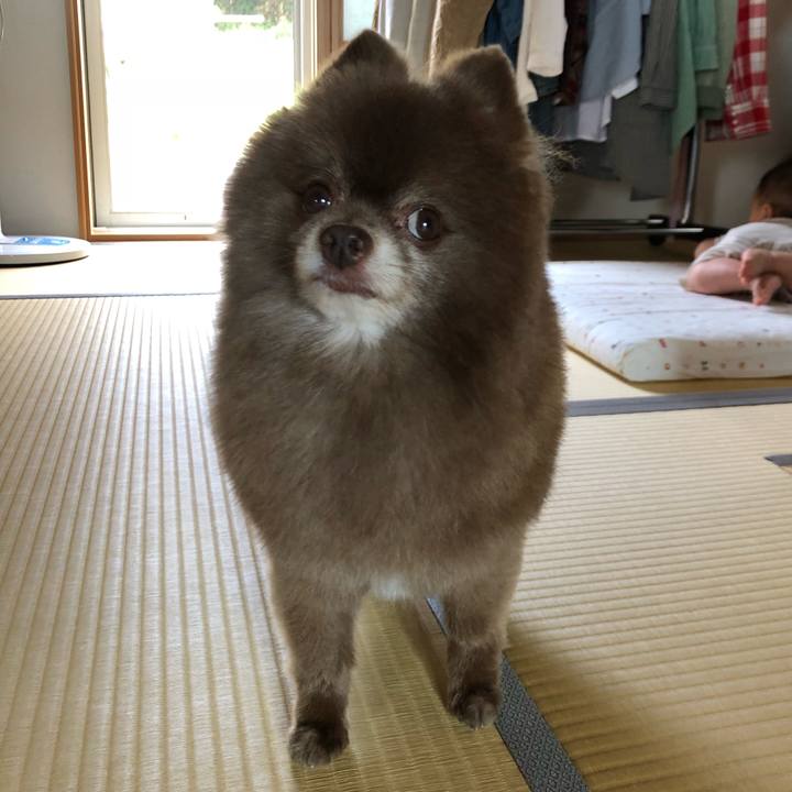 E258c3a7 152a 44f3 b1e5 3a01b323b2e1 1567471650050