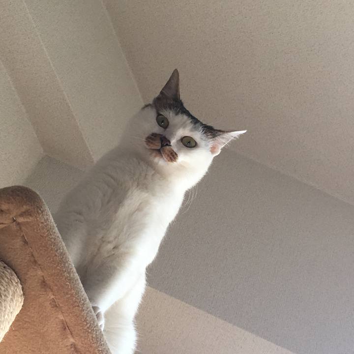 E258dc56 cefb 4ce5 8dbb ceef7cecca19 1514979473847