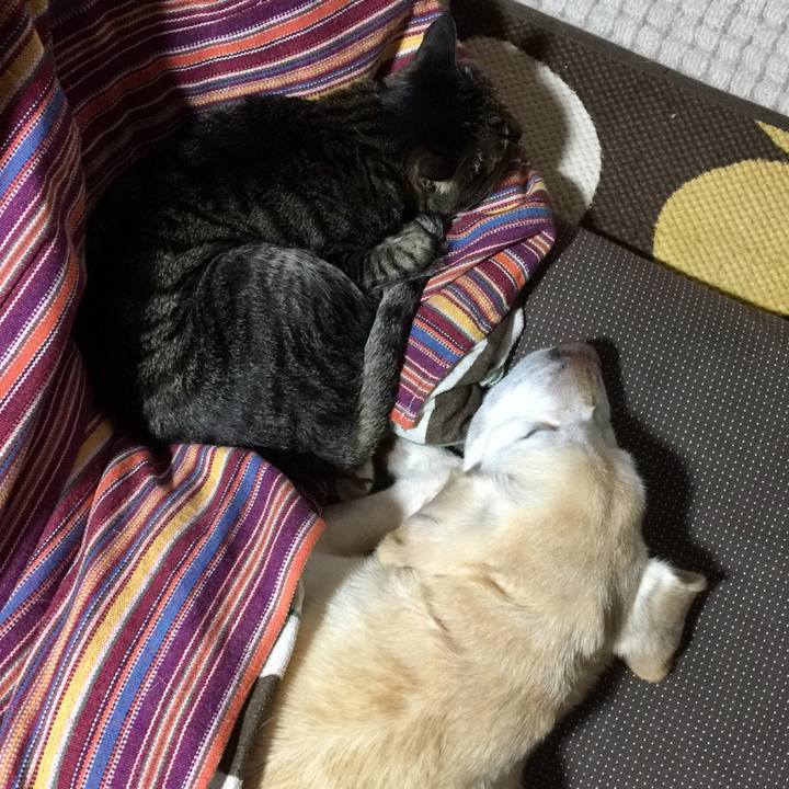 E258e510 a0a2 46d7 93e8 7aa90ec44599 1677050419853