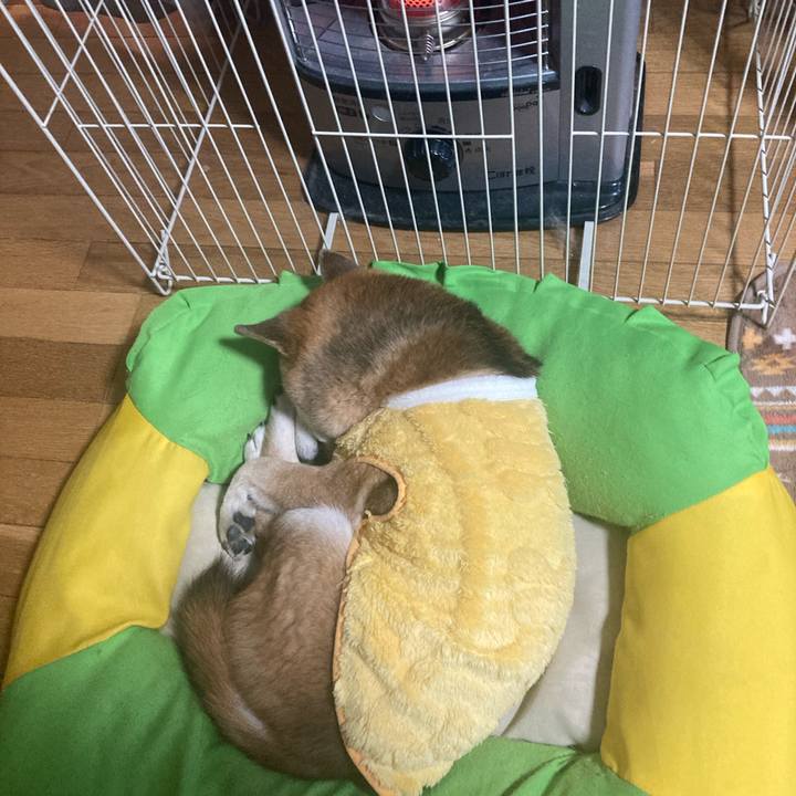 E258ebd0 5910 4fb2 9d40 b4fc18afe96e 1768971487272