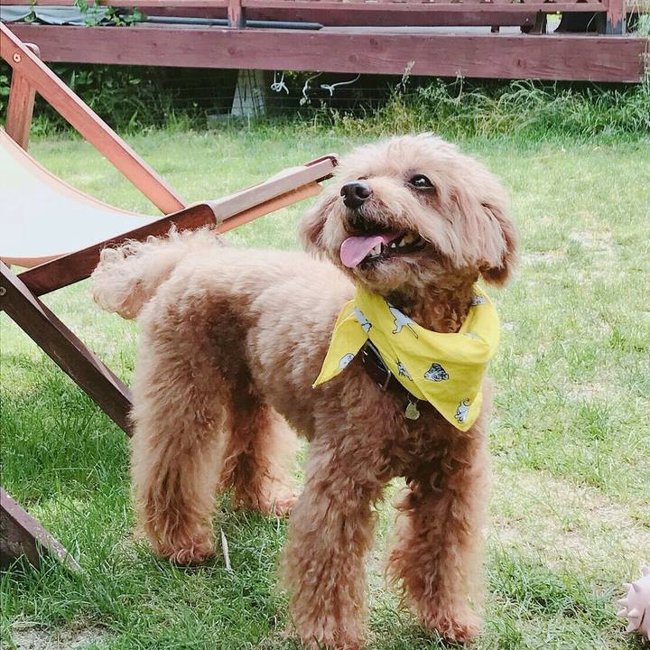 E258fae4 3c01 4f11 b797 470aa6c4b4dd 1528534233574