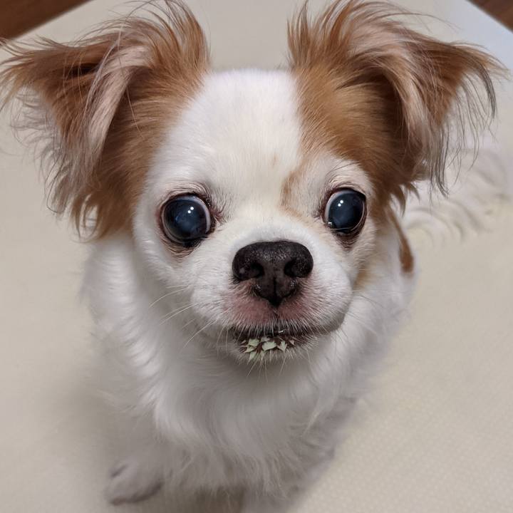 E258ffef 8388 4fdb a230 48651e5c08fa 1630279356665