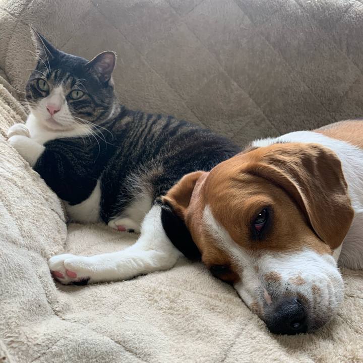 E25903ba aada 41c2 9d95 eedc17894467 1586667828324