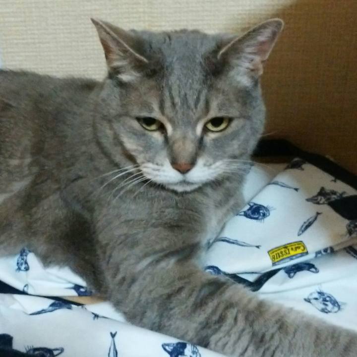 E2590d62 d4b0 4de5 9a7b 6d50e18edaf1 1559481578355