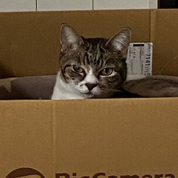 E2592b2c 4280 4af6 b598 f967681436bb 1706039113424