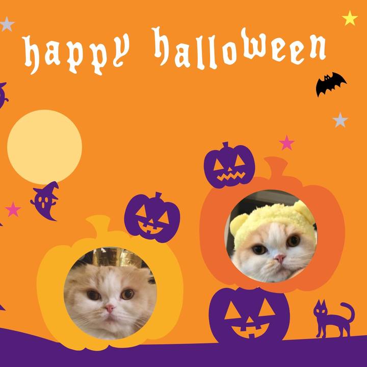 E25994bf 8f1c 4f2a 8cb2 313181cf74a4 1540393360673