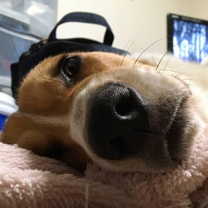 E259d7e1 731b 4468 b6f8 efcd61f024c4 1615001044622