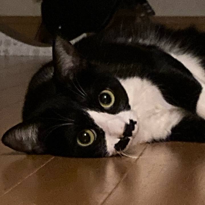 E25a017a 53a0 42f5 a8a6 804bba5f0a57 1712069598179