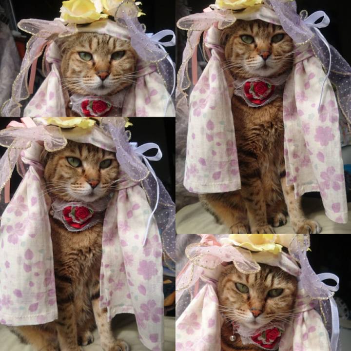 E25a9e38 76d2 4f35 b2c8 21c6e75aa16d 1758493432226