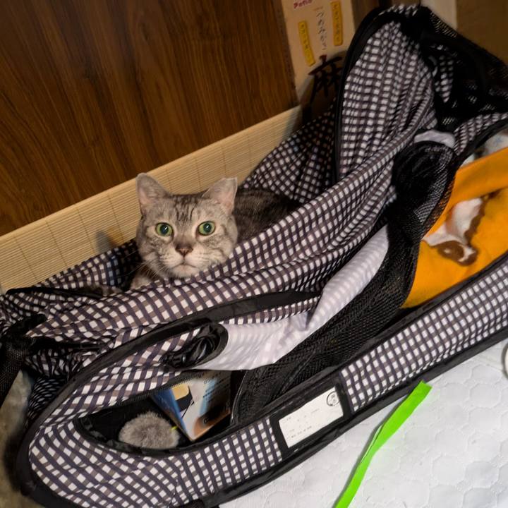 E25aa0ca 13bb 46da ade3 31d64b791185 1760115509585