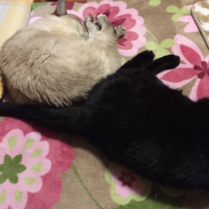 E25aad62 bd19 4706 86c1 105dcbefc8a2 1515926076297