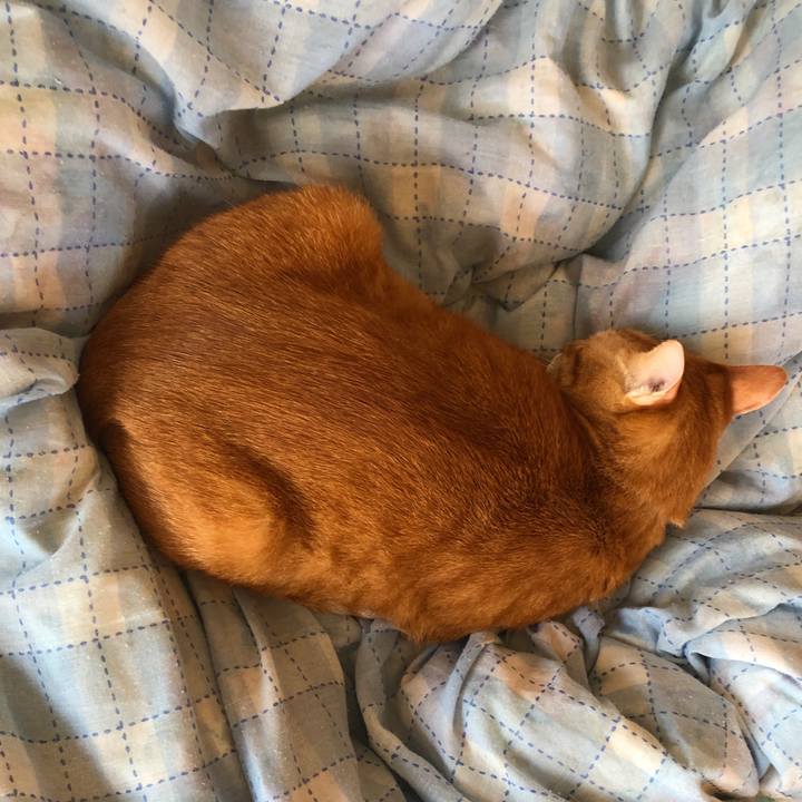 E25aadfb 07e0 4df0 b9e7 a1b4d42ef1d4 1664064293093