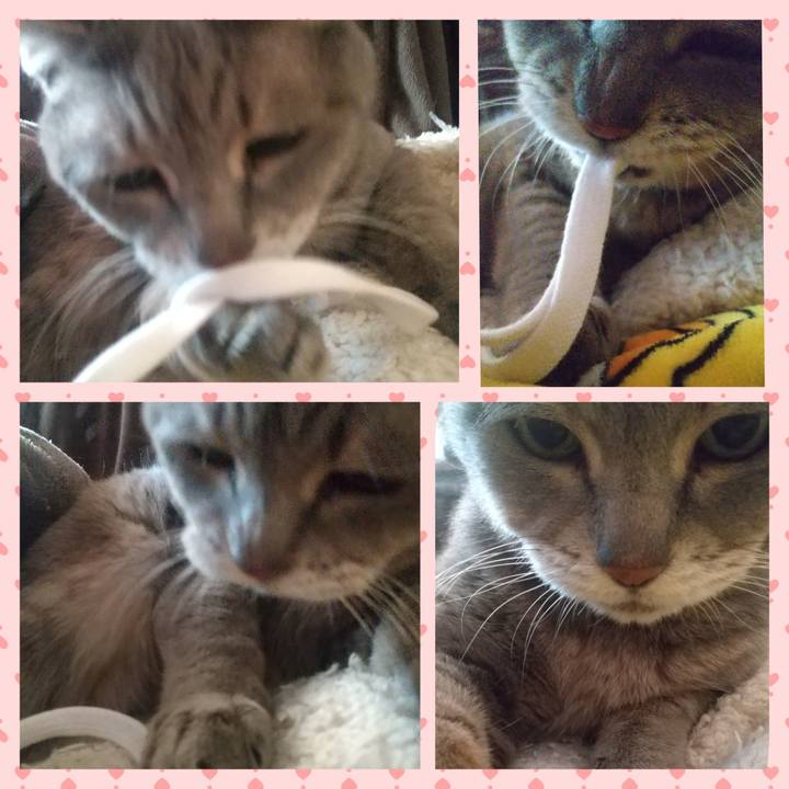 E25aba44 09b0 4da1 9539 1676dfd239d3 1673094868634