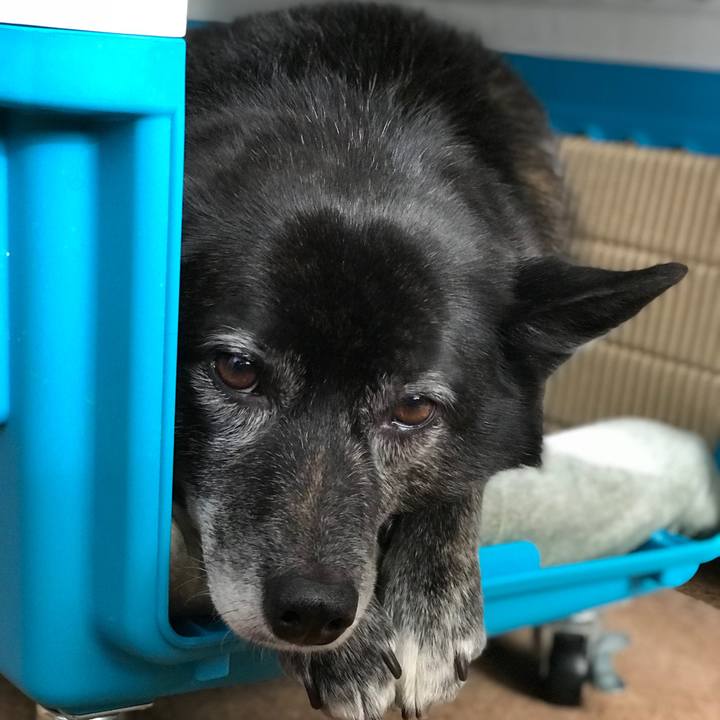 E25ad9b6 730b 4af9 847e df04cbdb0bcb 1515382391312