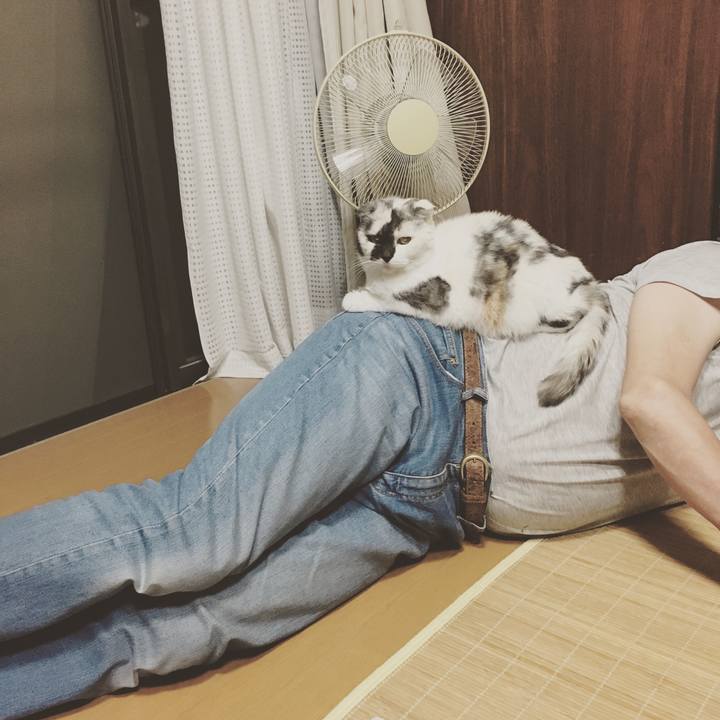 E25ae7af 15e0 4750 9947 0dfc71c718bd 1560775384271