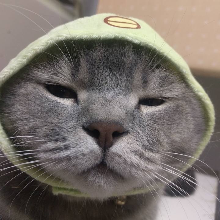 E25b7657 437b 4862 966b 4ca059ff1058 1529499112024