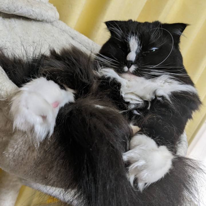 E25b98c5 c8c6 41aa b4dc 525797652cff 1713238412949