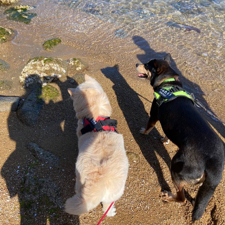 E25b9ed7 febb 4203 9253 700c5a23d154 1678098244015