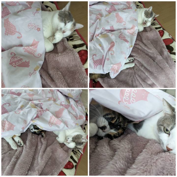 E25bab56 1e51 4b41 aed2 cada597622a3 1699933819889