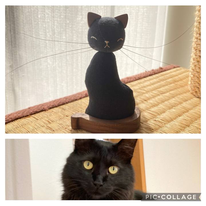 E25bbd2f d608 44fc 96a2 9e23fc477873 1742621737652