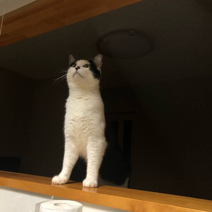 E25bf27c e3a9 4f61 8768 0dcbca9abc06 1557254341427